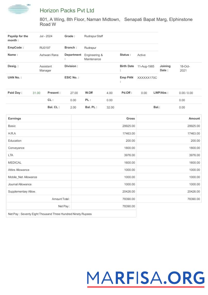 Realistic Horizon Packs payslip sample